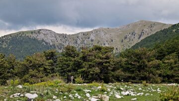 Στη σκιά του Φαλακρού: Ποτάμια, τεχνητές λίμνες και πλούσια Φύση
