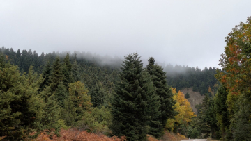 Φουρνά Ευρυτανίας: Η Βασιλική και ο Στέφανος, νέοι κάτοικοι του χωριού που ζωντάνεψε ξανά, άνοιξαν τη δική τους επιχείρηση