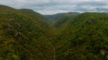 Οδοιπορικό στο Πωγώνι: Απολαμβάνοντας τα αληθινά χρώματα της Φύσης σε έναν ανέγγιχτο τόπο
