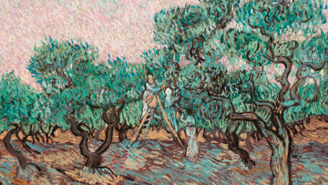 Το Μουσείο Γουλανδρή στα δικαστήρια για τα «Eλαιόδεντρα» του Βαν Γκογκ