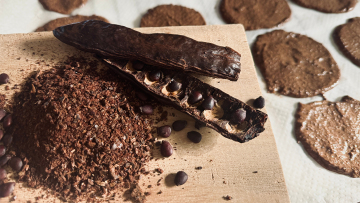 Η αναγέννηση του χαρουπιού: Το superfood που γίνεται χρυσωρυχείο για τη λεκάνη της Μεσογείου