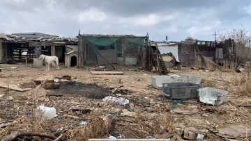 «Κολαστήριο» για ζώα στα παλιά σφαγεία Νέας Αλικαρνασσού, σε άθλια κατάσταση σκύλοι, άλογα και πρόβατα - Μία σύλληψη