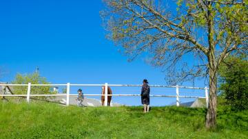 Stay Quiet: H «πρωτοβουλία σιωπής» που προσφέρει μέχρι και δωρεάν διαμονή στη Σουηδία (βίντεο)