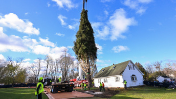 Έλατο 100 ετών από τη Νέα Υόρκη θα στολίσει τα Χριστούγεννα το Rockefeller Center - Η συγκινητική ιστορία του