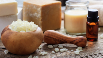 Μαστίχα Χίου: Προ των πυλών για Βραζιλία – Αισιοδοξία για την παραγωγή και το βλέμμα σε νέες αγορές