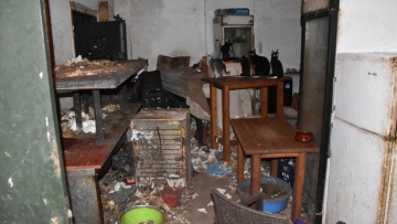 Πρόστιμο 1,7 εκατ. ευρώ σε κάτοικο της Δονούσας - Είχε φυλακισμένες και υποσιτισμένες 58 γάτες μέσα στα σκουπίδια και τη βρωμιά