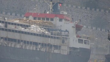 Παγιδευμένες στο πλοίο παραμένουν χιλιάδες αγελάδες «χωρίς χαρτιά» στην Τουρκία - Τουλάχιστον 58 πέθαναν, άλλες 140 γέννησαν
