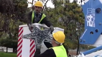 Πότε θα φωταγωγηθεί το δέντρο της Αθήνας στην πλατεία Συντάγματος - Έρχεται από τη Βυτίνα και έχει ύψος 19 μέτρα
