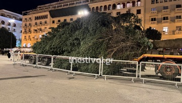 «Μύρισε» Χριστούγεννα στη Θεσσαλονίκη, έφτασε το έλατο 18 μέτρων στην πλατεία Αριστοτέλους - Δείτε βίντεο