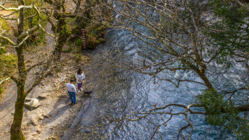 
Απόδραση στη Φύση της Αρκαδίας -Ένας πλήρης οδηγός εμπειριών για το Μαίναλο 

