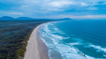 Τρεις επιθέσεις καρχαριών στο Σίδνεϊ, «lockdown» στις παραλίες