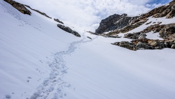 Χιονοστιβάδα καταπλάκωσε σκιέρ στην Αυστρία: Τουλάχιστον τρεις τραυματίες
