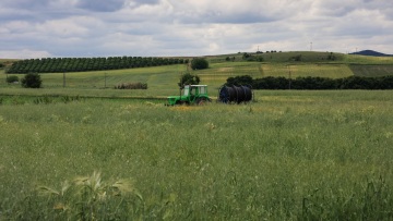 Σήμερα στους λογαριασμούς των αγροτών η προκαταβολή της ενιαίας ενίσχυσης