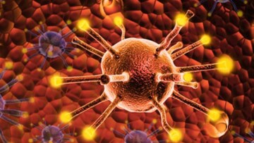 Πρωτοποριακή ελληνική μέθοδος με εστιακούς υπέρηχους ανοίγει τον δρόμο για τη θεραπεία θανατηφόρων εγκεφαλικών όγκων στα παιδιά