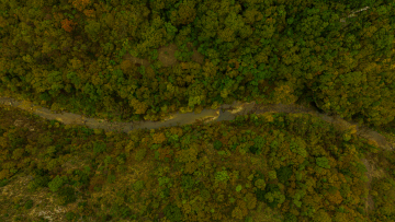 Πωγώνι: Οδηγός εμπειριών για τον προορισμό της Ηπείρου με την ανόθευτη ομορφιά
