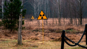 Μυστηριώδης μαύρος μύκητας του Τσερνόμπιλ «τρέφεται» από ραδιενέργεια!