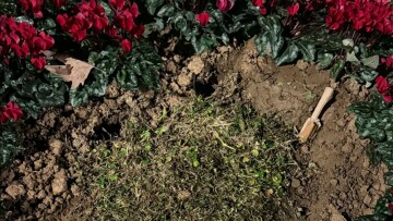 Άγνωστοι ξήλωσαν τη μαρμάρινη πλάκα για τις κακοποιημένες και δολοφονημένες γυναίκες στη Θεσσαλονίκη