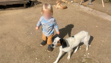 Πριν από 10 μέρες είχε γενέθλια ο μικρός Λίο που σκοτώθηκε από το πίτμπουλ στη Ζάκυνθο - Στην προστασία των ζώων είχε αφιερώσει τη ζωή της η οικογένεια