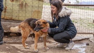 Σταδιακά. Σταθερά. Μαζί. Τέσσερις ιστορίες που δείχνουν πώς αλλάζει ο κόσμος