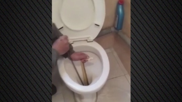 Μεγάλο φίδι ζούσε για 2 εβδομάδες σε λεκάνη τουαλέτας στην Καστοριά, δείτε βίντεο