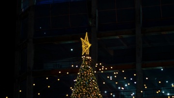 Παρίσι: Η κωμικοτραγική ιστορία του χριστουγεννιάτικου δέντρου που θύμιζε sex toy
