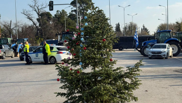 Στόλισαν έλατο από τον Ταξιάρχη οι αγρότες στα «Πράσινα Φανάρια»: Θα μείνουμε και τα Χριστούγεννα εδώ, λένε