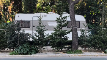 «22 μέρες σε τροχόσπιτο»: Η νομαδική ζωή ενός ελατοπαραγωγού πίσω από τα χριστουγεννιάτικα δέντρα
