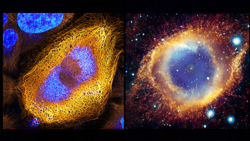 New Perspectives: Από το απέραντο διάστημα έως τη μικροκλίμακα της φύσης