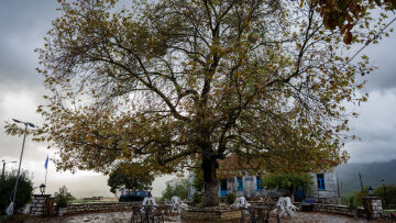 Αποστολή στο Πωγώνι -Κάτω Μερόπη: Επισκεφθήκαμε το καφενείο όπου χτυπά η καρδιά του χωριού