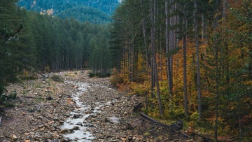 3 Road trip με αφετηρία τα Γρεβενά
