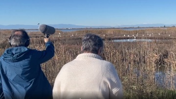 Πώς «ακούγονται» το Δέλτα του Αξιού και η λίμνη Ορεστιάδα; Ερευνητικό έργο καταγράφει τα ηχοτοπία στα δύο οικοσυστήματα
