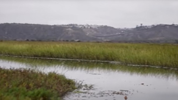 Ούτε ναρκωτικά, ούτε λαθρεμπόριο: το «αθέατο όπλο» με το οποίο οι ΗΠΑ μπλοκάρουν τη διέλευση από τα σύνορα με το Μεξικό