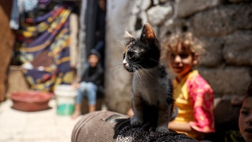 Ευτυχία είναι το πρόσωπο του κοριτσιού από την Παλαιστίνη που παίρνει για δώρο ένα γατάκι (βίντεο)

