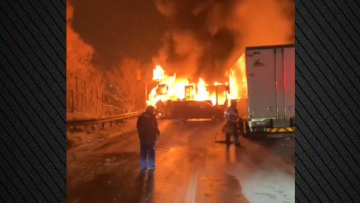 iaponia-karampola-HOR