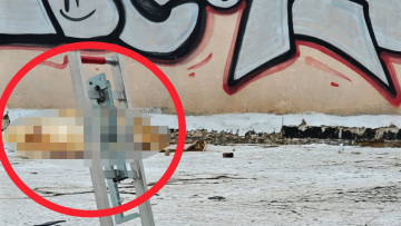 Κατάκοιτη και με άνοια η γυναίκα που μαχαίρωσε ο 74χρονος σύζυγός της στου Γκύζη πριν πέσει στο κενό