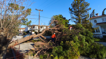 Οι θυελλώδεις άνεμοι έριξαν 28 δέντρα και προκάλεσαν ζημιές σε ηλεκτροφόρα καλώδια στη Θέρμη Θεσσαλονίκης