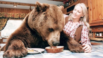Η απίστευτη ιστορία του Ηρακλή, μίας αρκούδας 400 κιλών που μεγάλωσε ως «γιος» ζευγαριού: Έτρωγαν μπέργκερ και έπιναν μπίρες όλοι μαζί