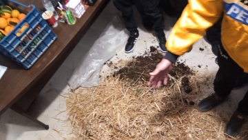 Αγρίνιο: Με σανό και κοπριά πήγαν στα γραφεία βουλευτών της ΝΔ αγρότες από το μπλόκο στο Αγγελόκαστρο, δείτε φωτογραφίες