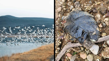 Τύπος ανακάλυψε ανατριχιαστικό πακέτο σε λίμνη της Νέας Υόρκης μετά την πτώση της στάθμης του νερού
