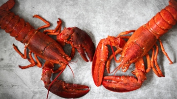 Έκλεψαν αστακούς αξίας 400.000 δολαρίων με προορισμό καταστήματα της Costco στις ΗΠΑ