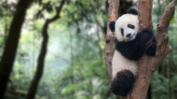 Οι πρώτες 8 καλές ειδήσεις του 2026