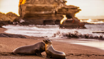 Γκαλαπάγκος: Πώς θα κάνουμε αυτό το ταξίδι-όνειρο ζωής με σεβασμό στο περιβάλλον
