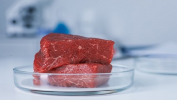 Τι είναι το καλλιεργημένο κρέας; Μύθοι και πραγματικότητα

