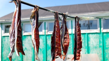 Η κουζίνα της Γροιλανδίας: Τι τρώνε στον πιο παγωμένο τόπο του πλανήτη