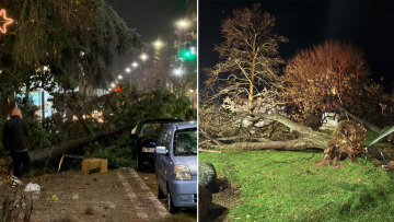 Μεγάλες ζημιές στην Αλεξανδρούπολη: Άνεμοι με ριπές 140 χιλιομέτρων χτύπησαν την πόλη, δείτε βίντεο