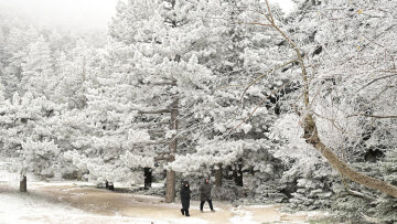 Έπεσαν τα πρώτα χιόνια στην Πάρνηθα, δείτε εντυπωσιακές φωτογραφίες