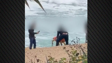 Αντιδράσεις για βίντεο με υπαλλήλους να κακομεταχειρίζονται θαλάσσια χελώνα στην Κύπρο, έγινε καταγγελία στην αστυνομία