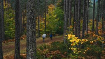 Οι κορυφαίες δραστηριότητες κοντά στο Μέτσοβο