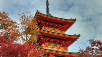 
Ιαπωνία: Η Γκέισα της Άπω Ανατολής -Παράδοση, τέχνη και μυστήριο