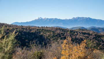 Απολαμβάνοντας την ομορφιά του Πάρνωνα: Kάναμε μια διαδρομή από τη Βαμβακού στον Άγιο Πέτρο
